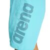 Arena Fundamentals Logo Ανδρικό Μαγιό, Μέγεθος: S, 3 image