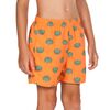 Arena Bahamas Jr Boxer Kids' Swimsuit, Size: 6Y, 2 image