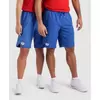 Arena Team Bermuda Panel Unisex Σορτς, Μέγεθος: M