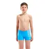 Arena B Arena Kikko V Swim Short Gra Kids' Swimsuit, Size: 14Y