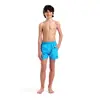 Arena Boys' Beach Boxer Solid R Παιδικό Μαγιό, Μέγεθος: 6Y, 5 image