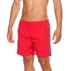 Arena Berryn Men's Swimsuit, Size: S