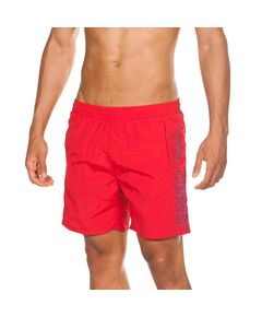 Arena Berryn Men's Swimsuit, Size: S