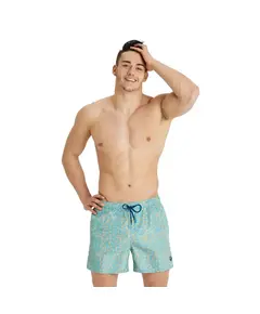 Arena Beach Short Allover Men's Swimsuit, Size: S