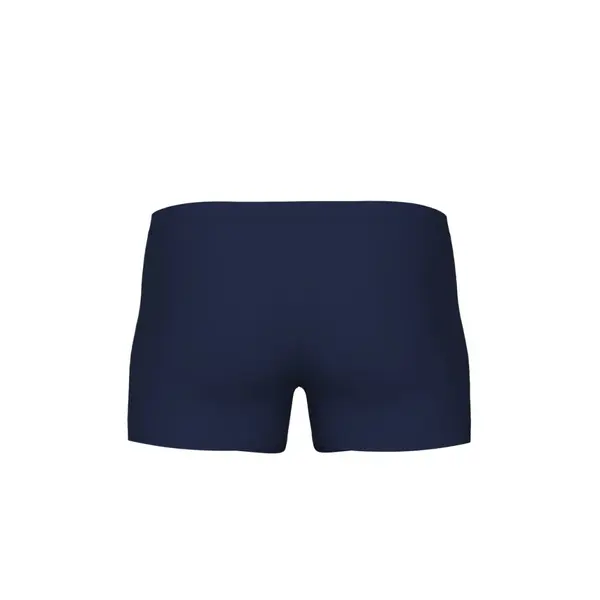 Arena Reflecting Men's Training Swimsuit, Size: 75, 4 image