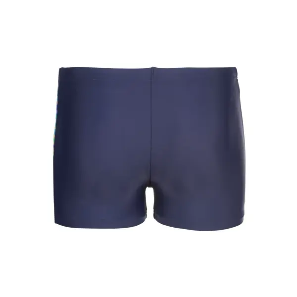 Arena Lit Logo Swim Short Παιδικό Μαγιό, Μέγεθος: 6Y, 7 image