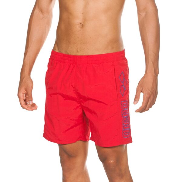 Arena Berryn Men's Swimsuit, Size: S