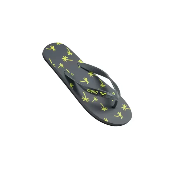 Arena Beach Flip Flop Unisex Παντόφλες, Μέγεθος: 40
