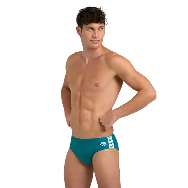 Arena Icons Swim Briefs Aνδρικό Μαγιό Πισίνας, Μέγεθος: 75