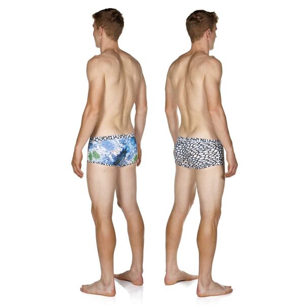 Arena Upside Down Low Waist Short Aνδρικό Μαγιό Πισίνας, Μέγεθος: 75, 3 image